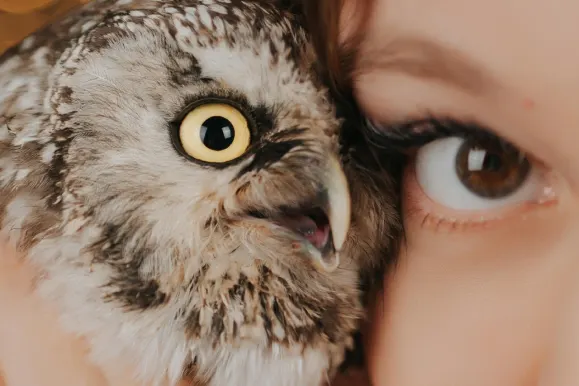 Casino Fever Bingo Supporto